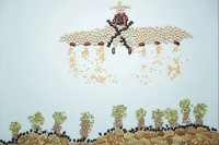 Animations légumineuses 2016